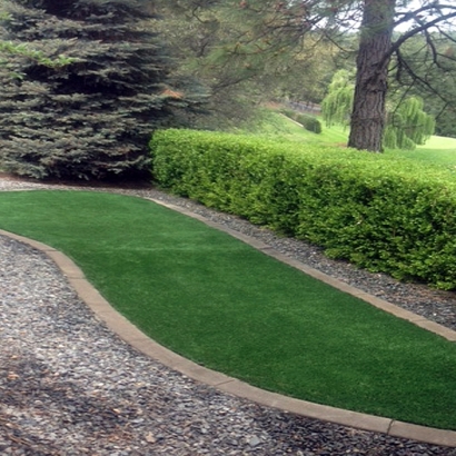 Backyard Putting Greens & Synthetic Lawn in Doniphan County, Kansas