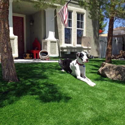 Fake Grass, Synthetic Lawns & Putting Greens in Lyndon, Kansas