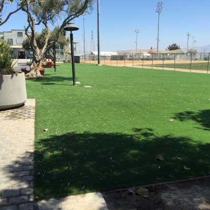 Fake Grass for Yards, Backyard Putting Greens in Osage City, Kansas