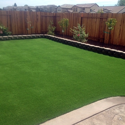 Artificial Grass in Countryside, Kansas