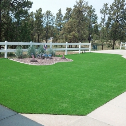 Synthetic Turf in Burden, Kansas