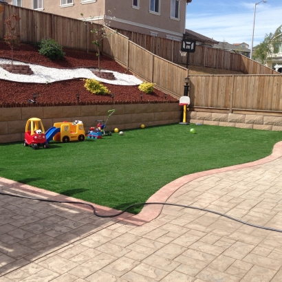 Fake Grass in Barton County, Kansas