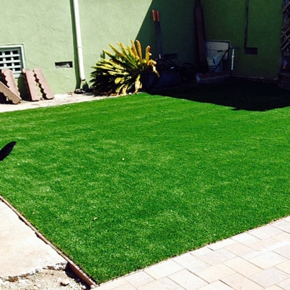 Grass Carpet Grantville, Kansas Gardeners, Backyard