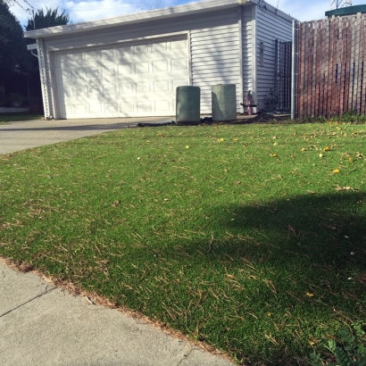 Grass Carpet Lindsborg, Kansas Rooftop, Small Front Yard Landscaping