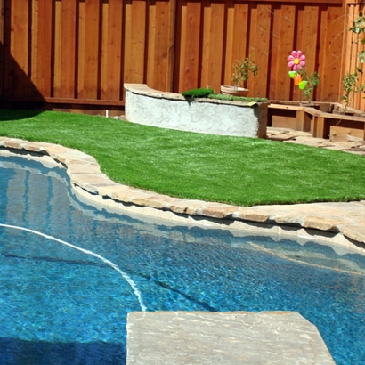 Grass Carpet Milton, Kansas Garden Ideas, Small Backyard Ideas