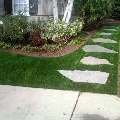 Artificial Grass in Glade, Kansas