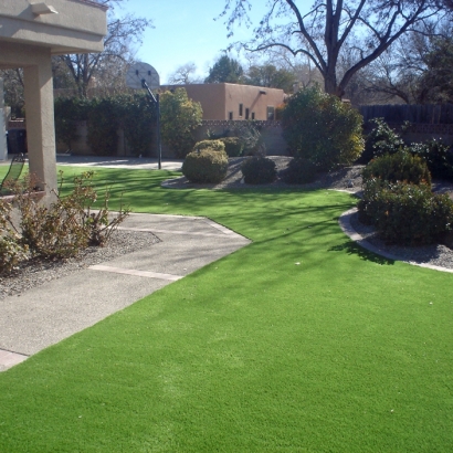 Synthetic Turf: Resources in Danville, Kansas