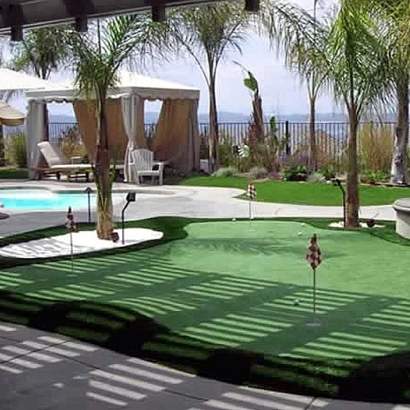 Artificial Grass in Atlanta, Kansas