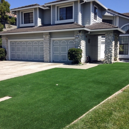 Artificial Grass in Americus, Kansas