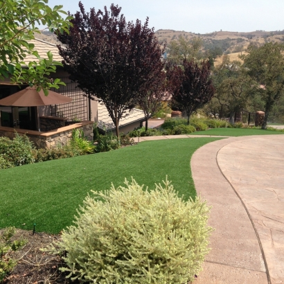 Artificial Grass in Hartford, Kansas