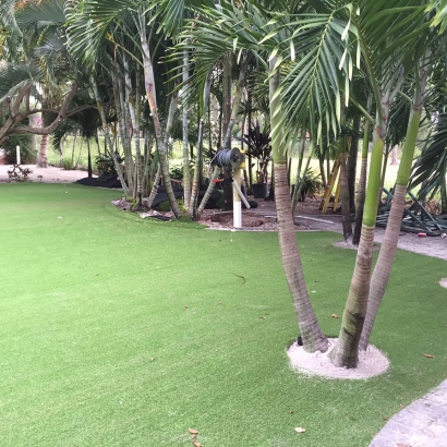 Fake Grass in Havana, Kansas