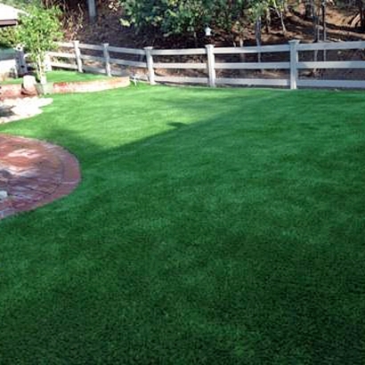 Grass Installation Horace, Kansas Pictures Of Dogs, Backyard Ideas