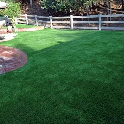 Grass Installation Horace, Kansas Pictures Of Dogs, Backyard Ideas