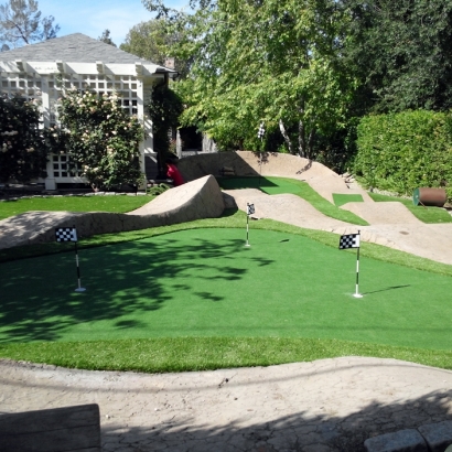 Fake Grass & Putting Greens in Holton, Kansas