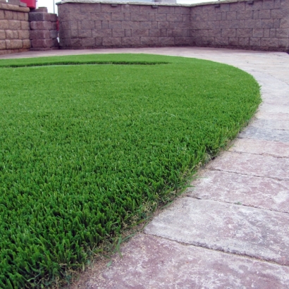 Grass Installation Zurich, Kansas Dog Park, Front Yard Design