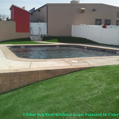 Synthetic Lawns & Putting Greens in Sedgwick County, Kansas