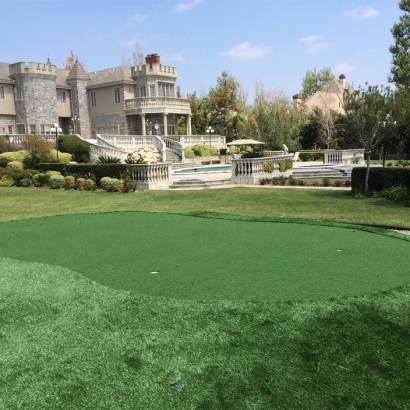 Grass Turf Cheney, Kansas Best Indoor Putting Green, Front Yard Ideas