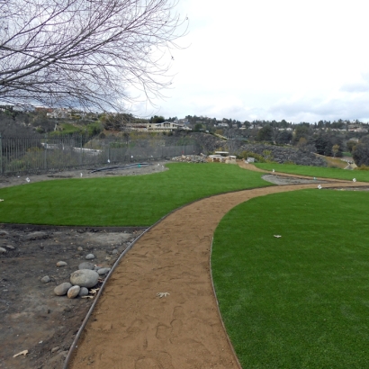 Synthetic Lawns & Putting Greens of La Harpe, Kansas