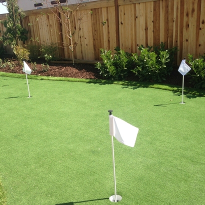 Artificial Grass in McCune, Kansas