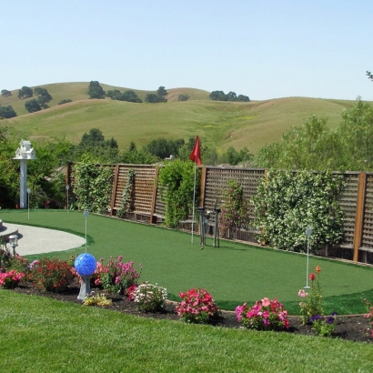 Synthetic Lawns & Putting Greens of Goddard, Kansas