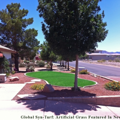 Artificial Grass in Kechi, Kansas