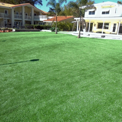 Artificial Grass in Garfield, Kansas