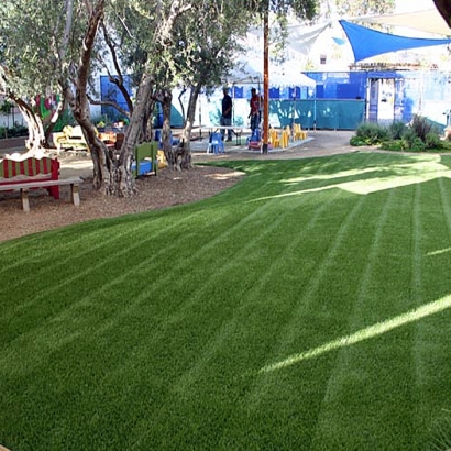 Synthetic Grass Warehouse - The Best of Paradise, Kansas