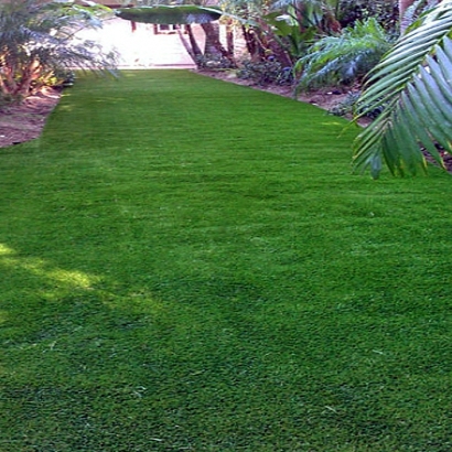 Fake Grass in Udall, Kansas