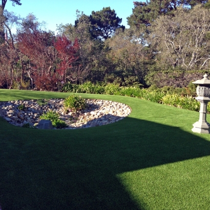 Synthetic Turf in Harvey County, Kansas