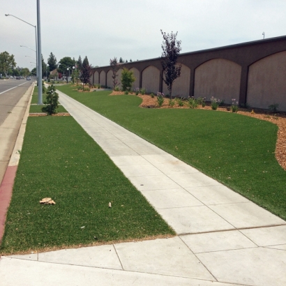 Fake Grass in Barton County, Kansas