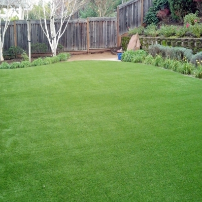 Artificial Turf in Anderson County, Kansas