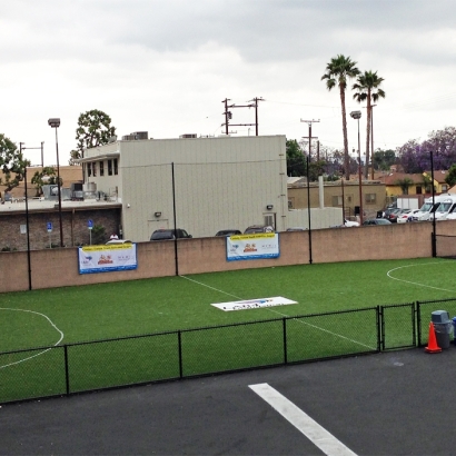 Fake Grass in Pretty Prairie, Kansas - Better Than Real