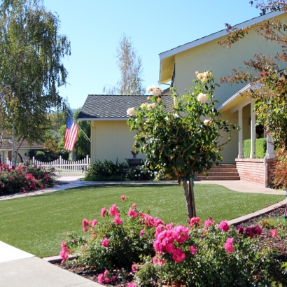 Artificial Grass in Linn Valley, Kansas