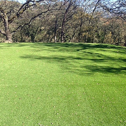 Putting Greens & Synthetic Lawn in Lyons, Kansas