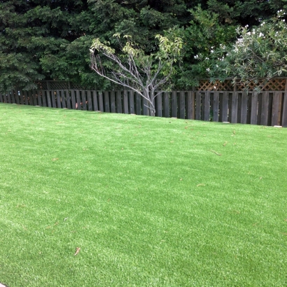 Synthetic Turf in Olathe, Kansas