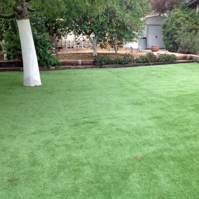 Artificial Turf in Agenda, Kansas