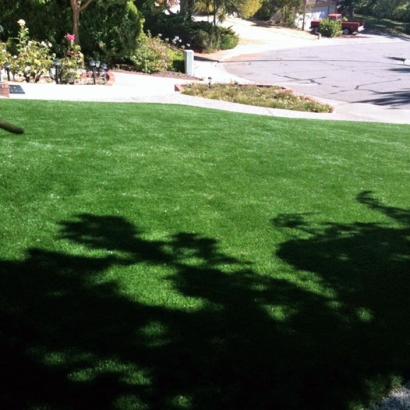 Fake Grass, Synthetic Lawns & Putting Greens in Lansing, Kansas