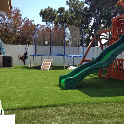 Installing Artificial Grass Caney, Kansas Rooftop, Small Backyard Ideas