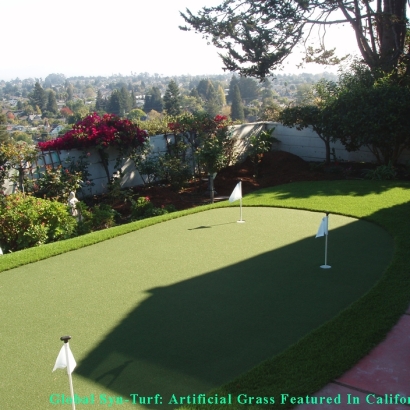 Fake Grass & Synthetic Putting Greens in Andale, Kansas