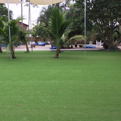 Synthetic Turf in Barber County, Kansas