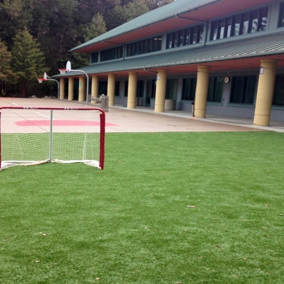 Artificial Grass in Rossville, Kansas