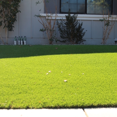 Synthetic Turf in Solomon, Kansas