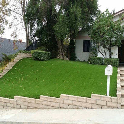 Artificial Grass in Rantoul, Kansas