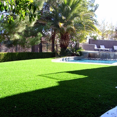 Synthetic Grass in White Cloud, Kansas