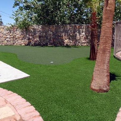 Synthetic Lawns & Putting Greens in Sedgwick County, Kansas