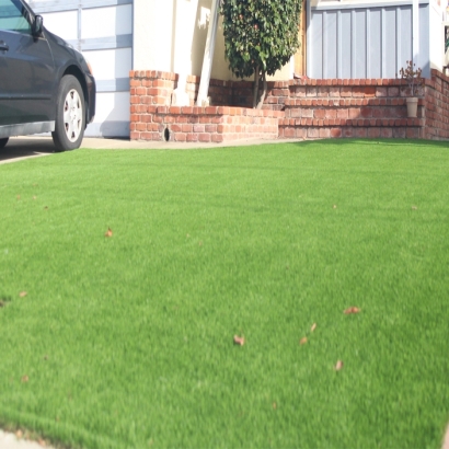 Artificial Turf in Cheney, Kansas