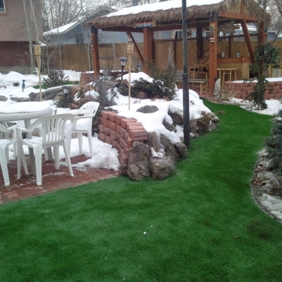 Artificial Turf in Conway Springs, Kansas