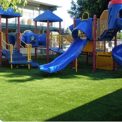 Artificial Turf in Glen Elder, Kansas