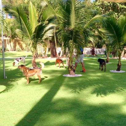 Artificial Turf in Alta Vista, Kansas