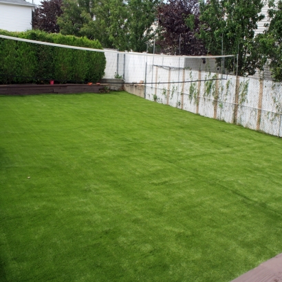 Artificial Grass in Minneapolis, Kansas